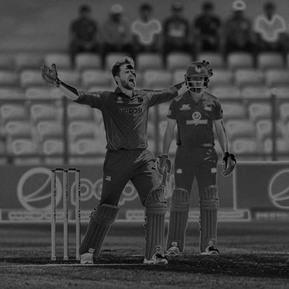 Batsman's Running Pace and the Principle of Game Integrity: A Biological-Driven Analysis
