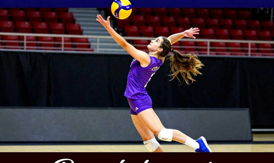 Volleyball's Empty Datasheet: Before Blockchain, You Need a Salaried Statistician Volleyball's Empty Datasheet: Before Blockchain, You Need a Salaried Statistician